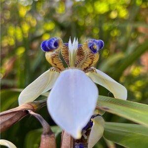 Meet your Posher, Dorian